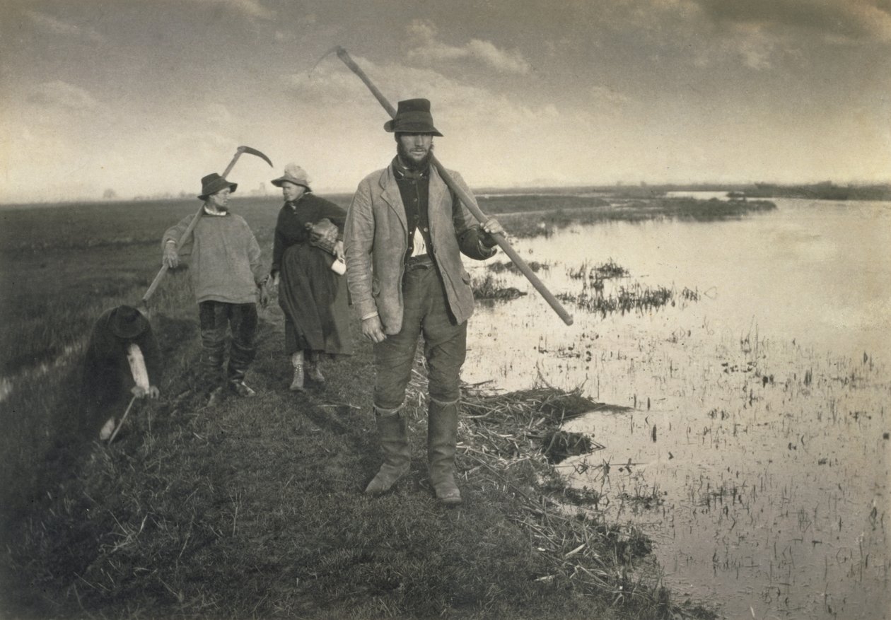 Cutting the Gladdon, Life and Landscape on the Norfolk Broads, ca. 1886 av Peter Emerson und Thomas Goodall