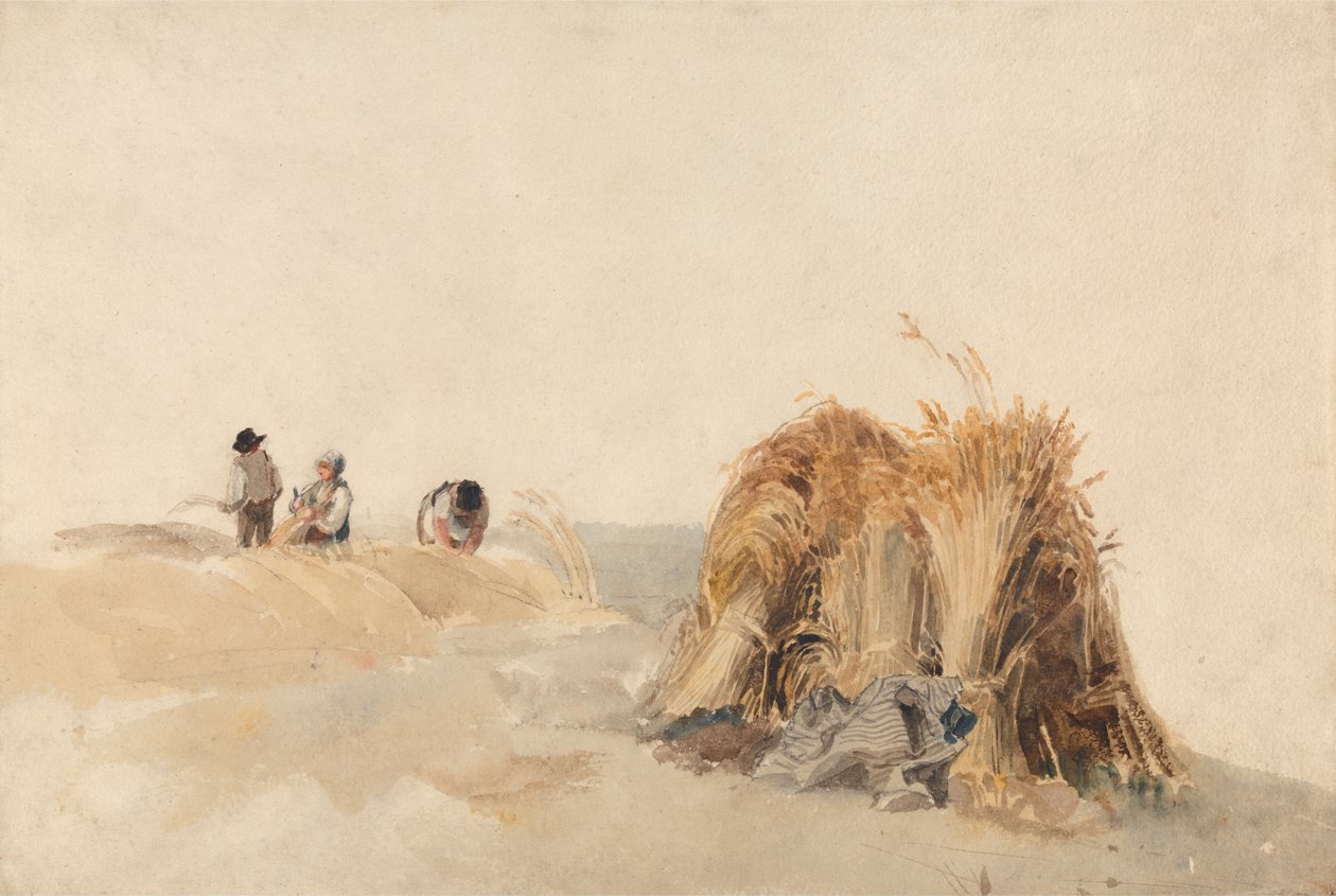 The Cornfield av Peter de Wint