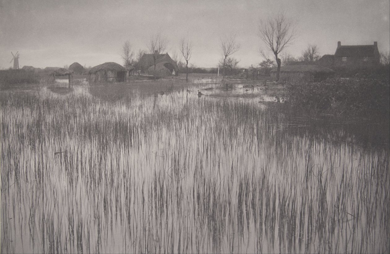 A Rushy Shore, plate XXXV fra Life and Landscape on the Norfolk Broads av Peter Henry Emerson