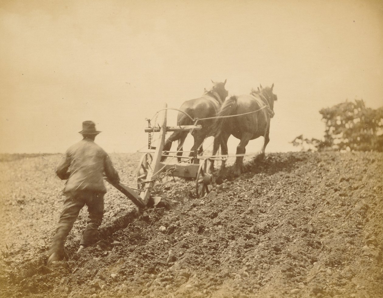 Et stivt trekk av Peter Henry Emerson