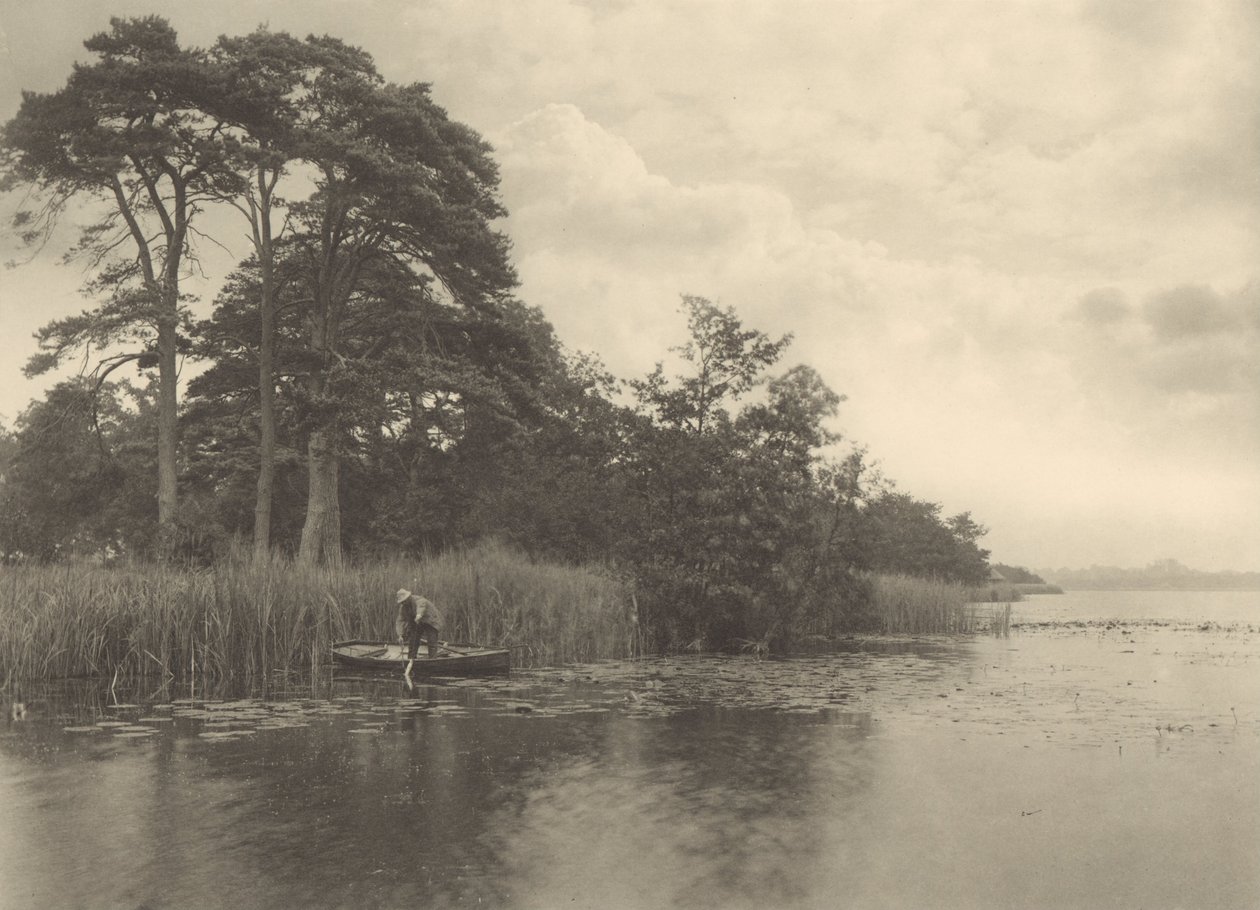Hauget til gjedda av Peter Henry Emerson