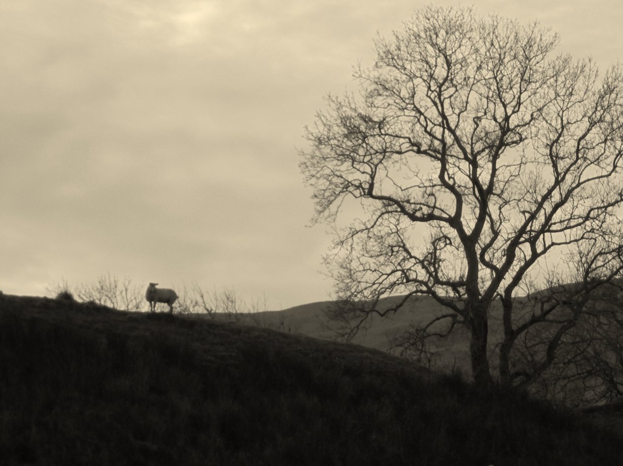 KINTYRE... PLUSS.9 av Peter McClure