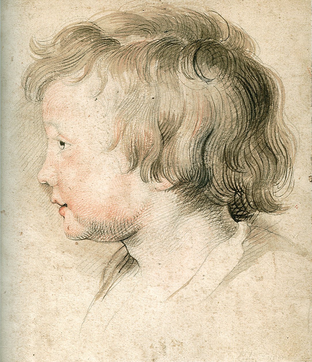 Albert Rubens av Peter Paul Rubens