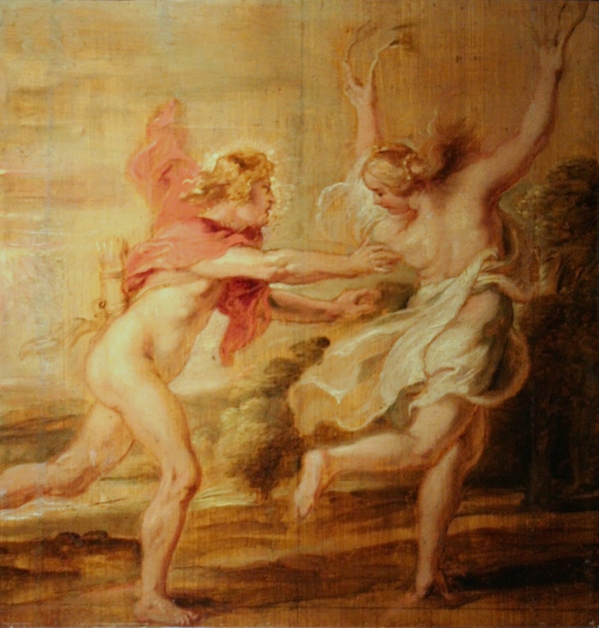 Apollo og Daphne av Peter Paul Rubens