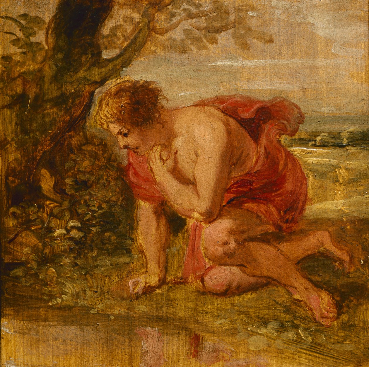 Narcissus av Peter Paul Rubens