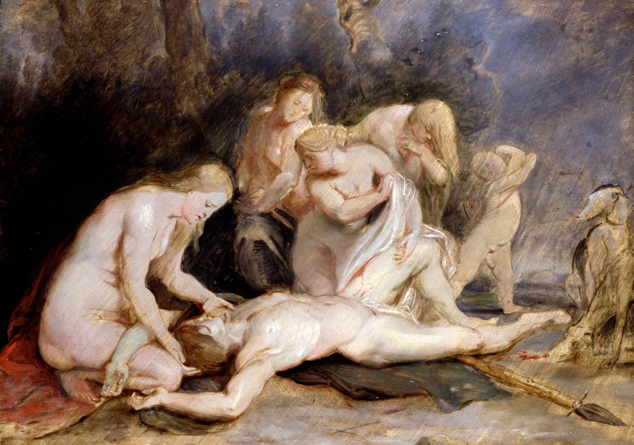 Venus sørger over Adonis av Peter Paul Rubens