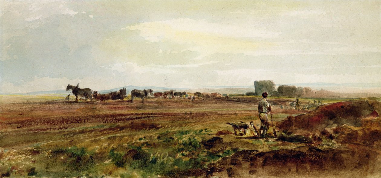 Ploughing the Heathland, Lincolnshire (wc på papir) av Peter de Wint