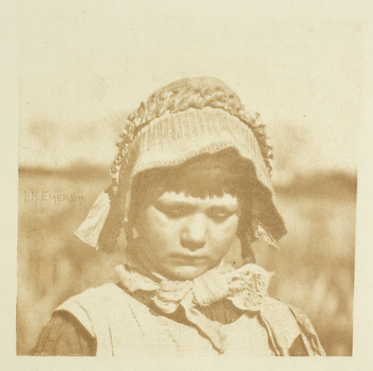 En Norfolk-blomst av Peter Henry Emerson