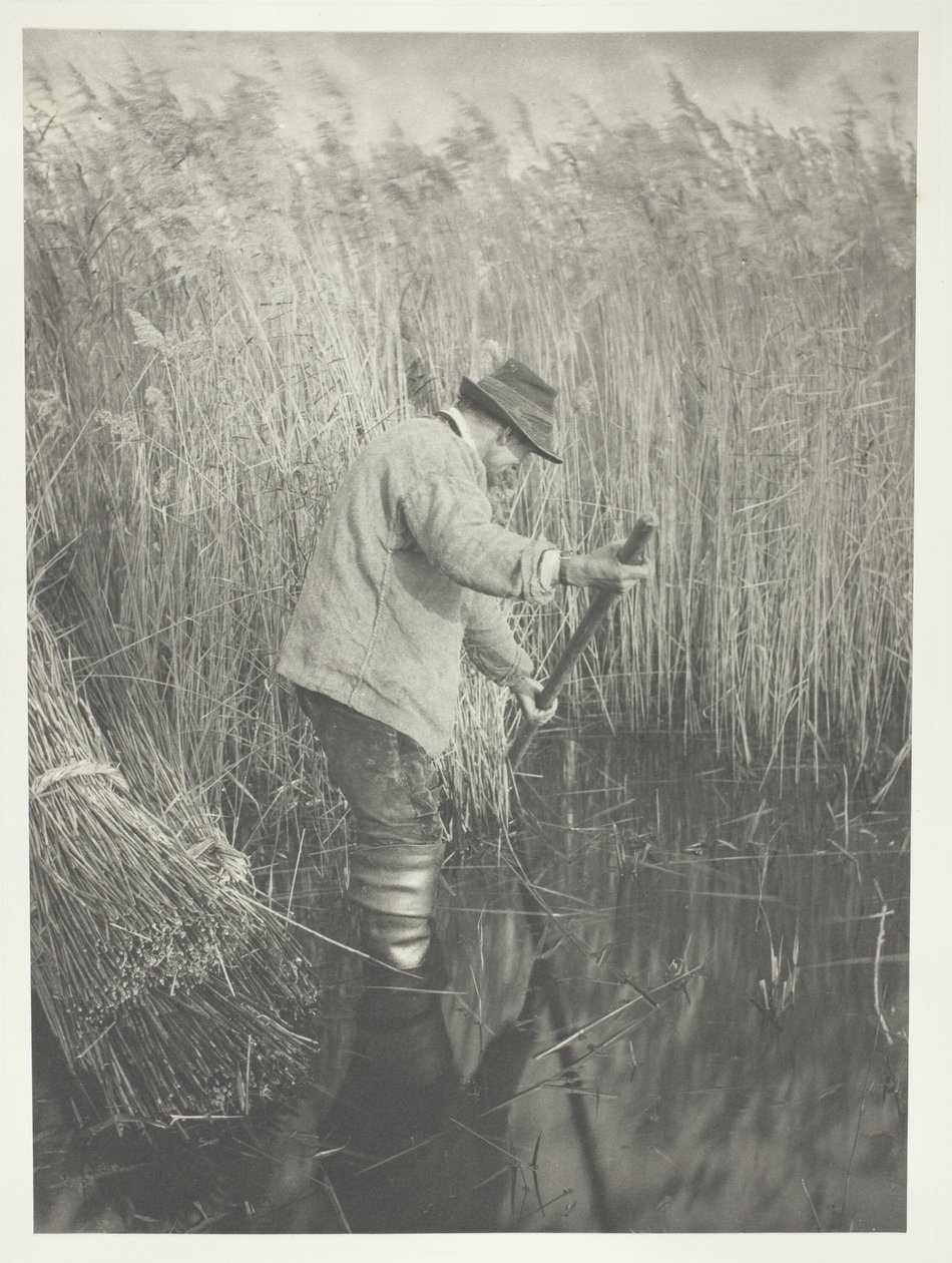  av Peter Henry Emerson