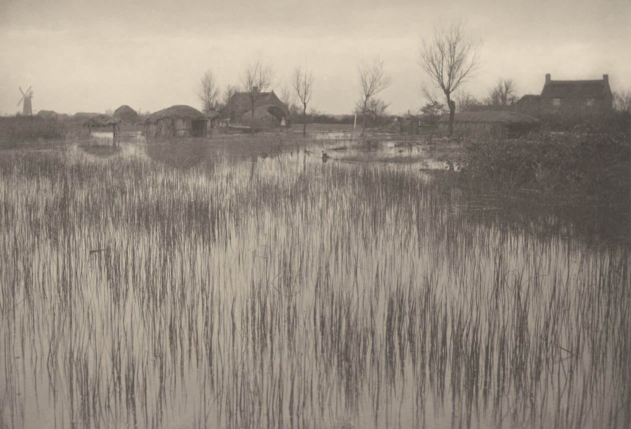 En Rushy Shore av Peter Henry Emerson