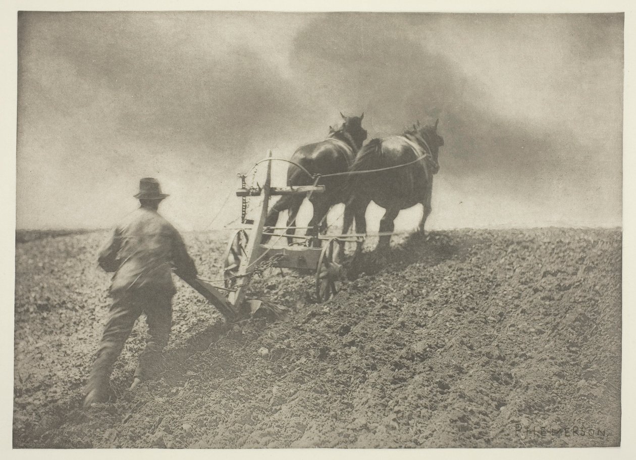 A Stiff Pull, (Suffolk) av Peter Henry Emerson