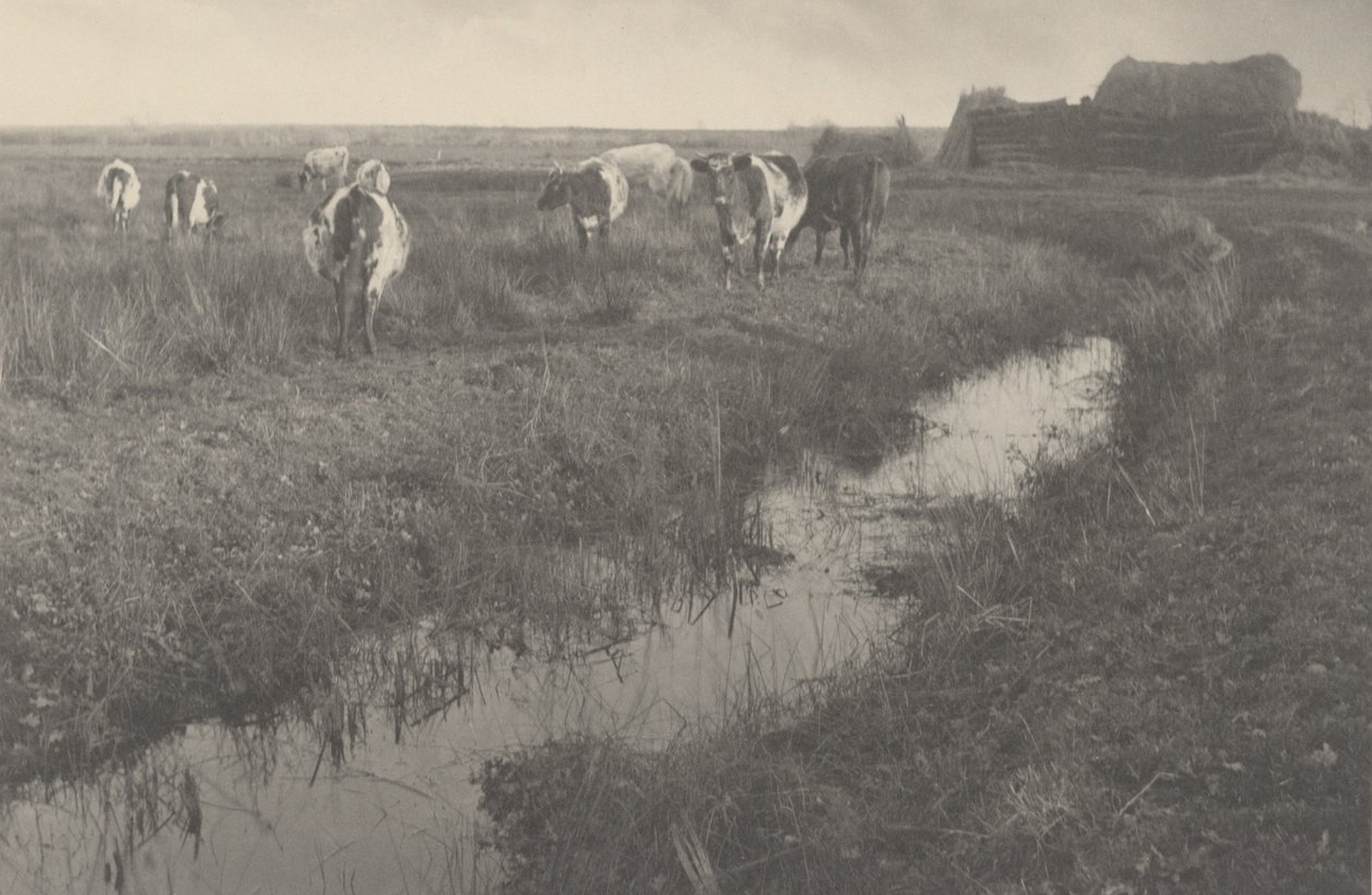  av Peter Henry Emerson