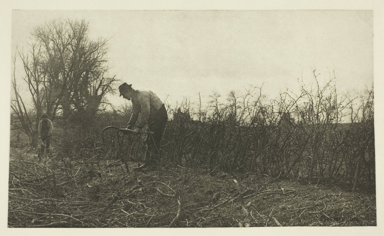 Fekting i Suffolk av Peter Henry Emerson