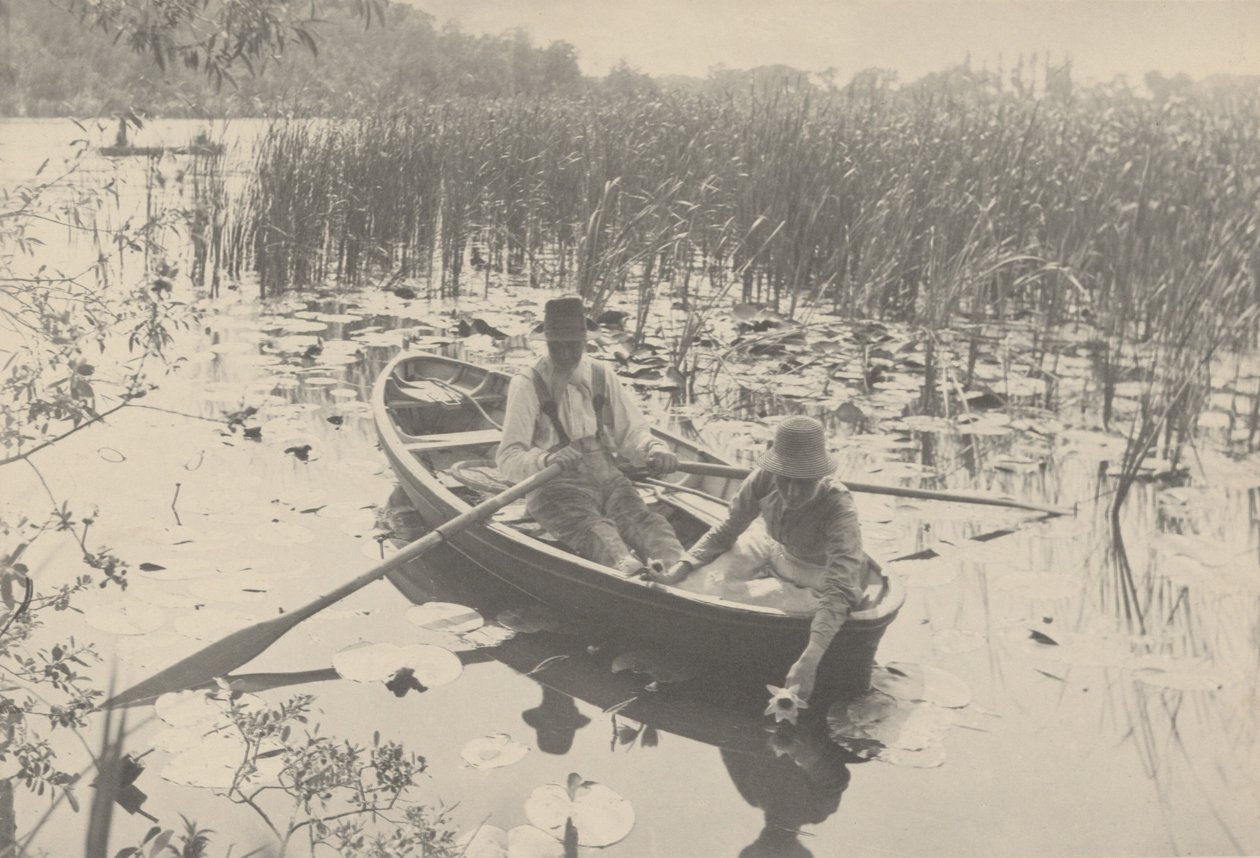 Å samle vannliljer av Peter Henry Emerson