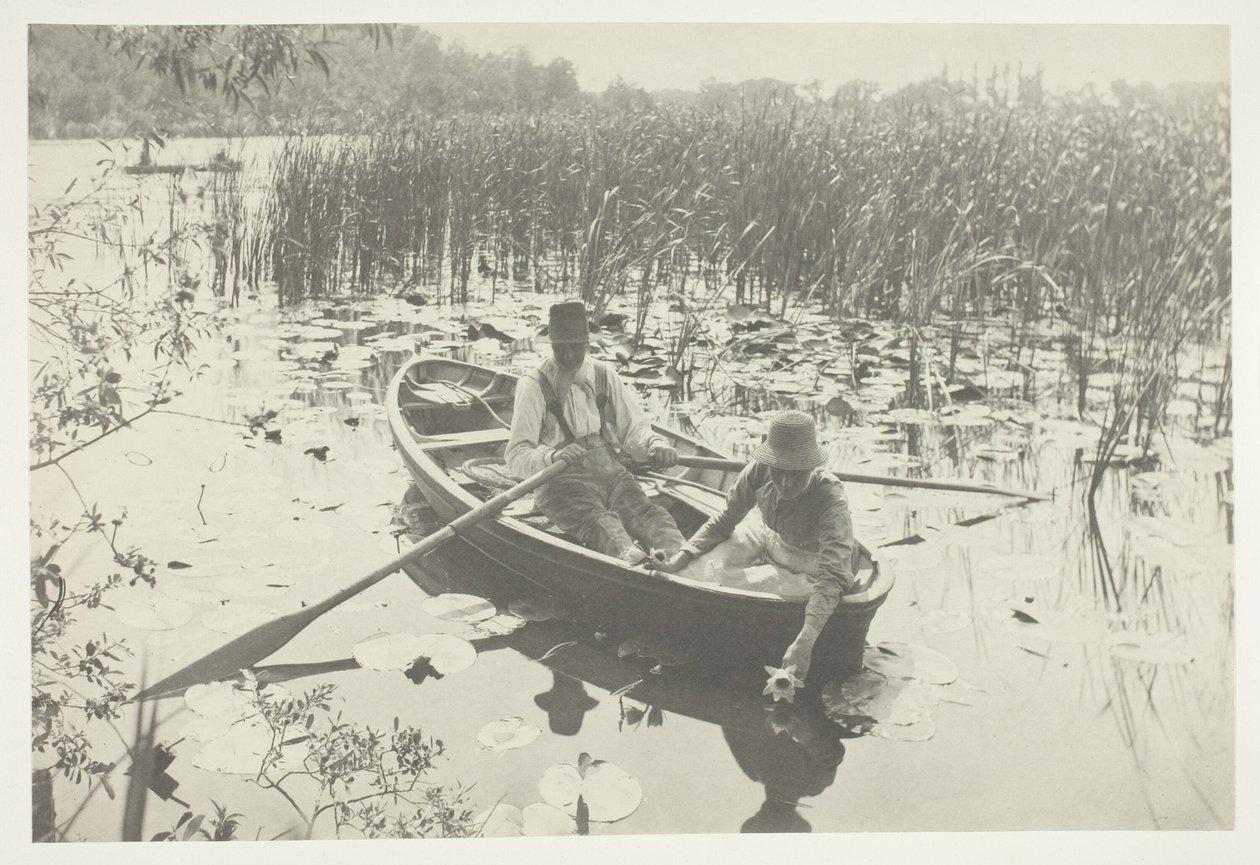 Å samle vannliljer av Peter Henry Emerson