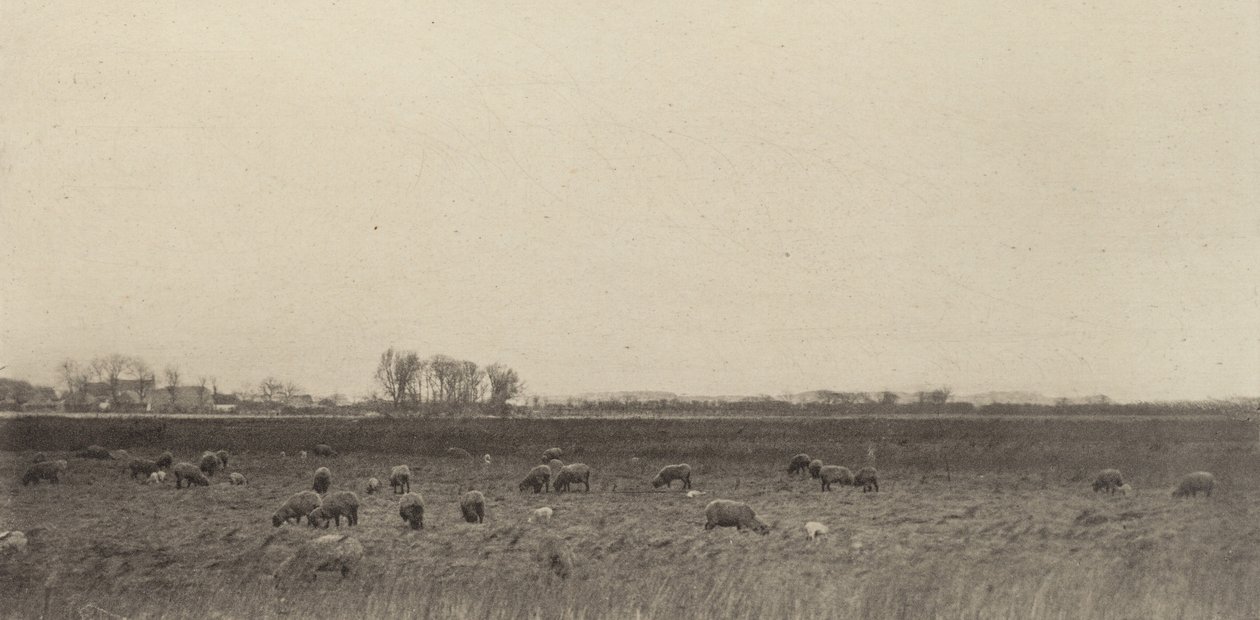 Myrer ved Nordsjøen av Peter Henry Emerson
