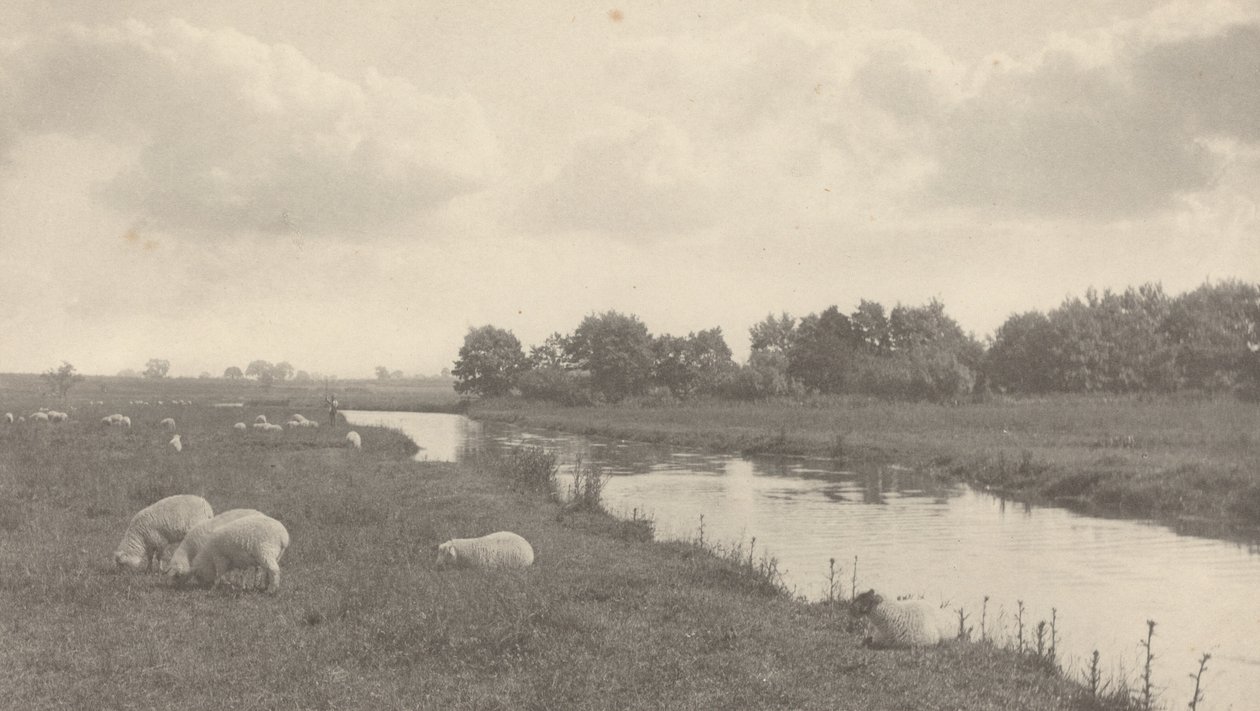 Ved elven Bure av Peter Henry Emerson