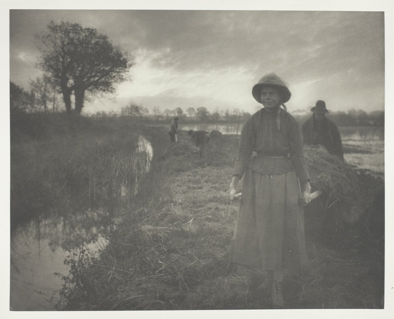 Poling av myrhø av Peter Henry Emerson