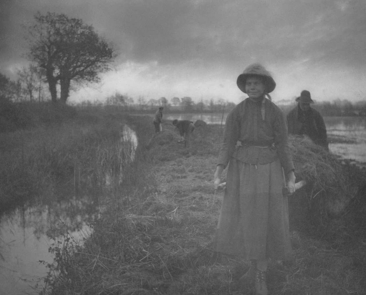 Poling av myrhø av Peter Henry Emerson