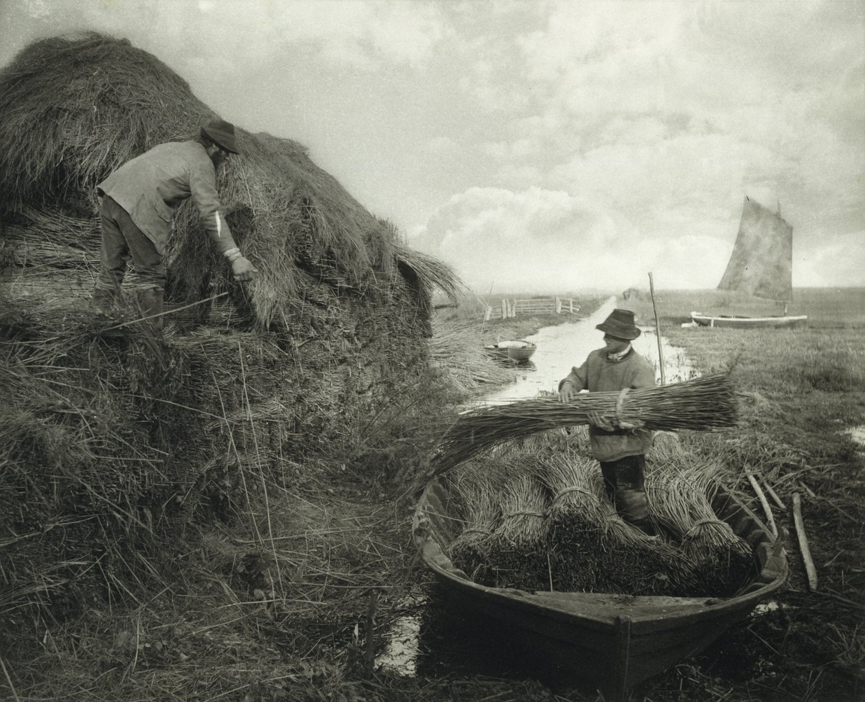 Ricking the Reed, ca. 1885 (platinatrykk) av Peter Henry Emerson