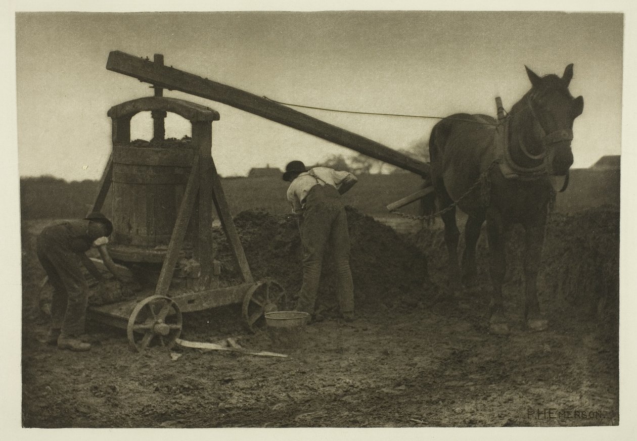 The Clay Mill (Norfolk) av Peter Henry Emerson