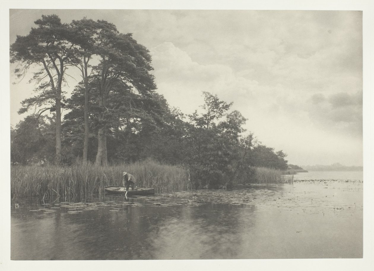 Gjeddens tilholdssted av Peter Henry Emerson