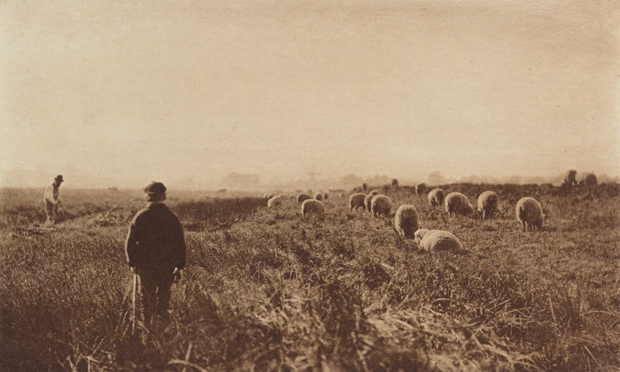Myrene i juni av Peter Henry Emerson