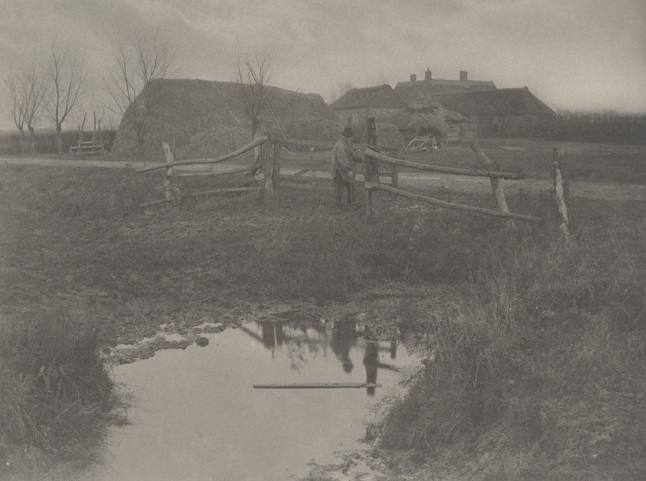 En myrgård av Peter Henry Emerson and T.F. Goodall