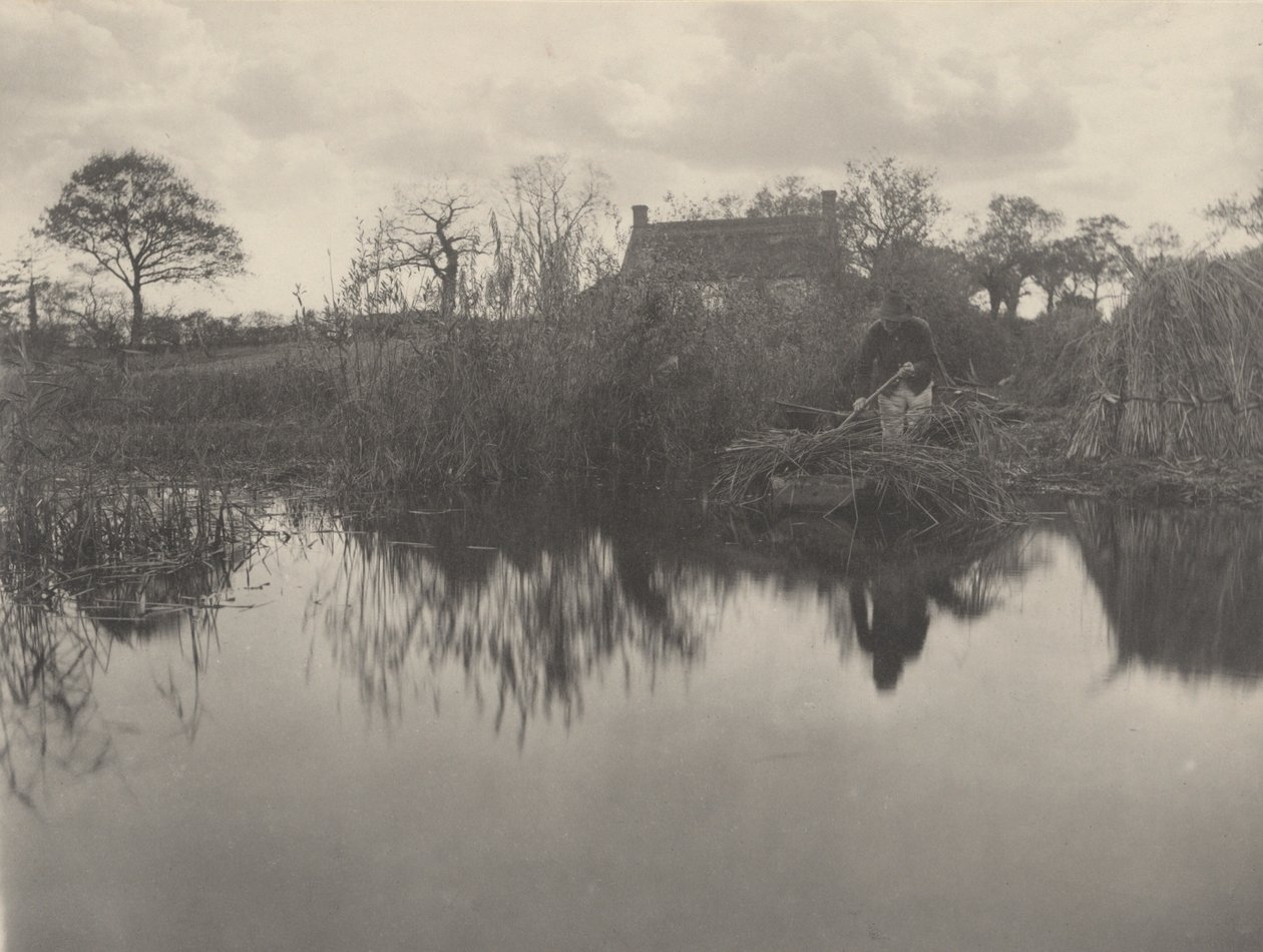 Quanting the Gladdon av Peter Henry Emerson and T.F. Goodall