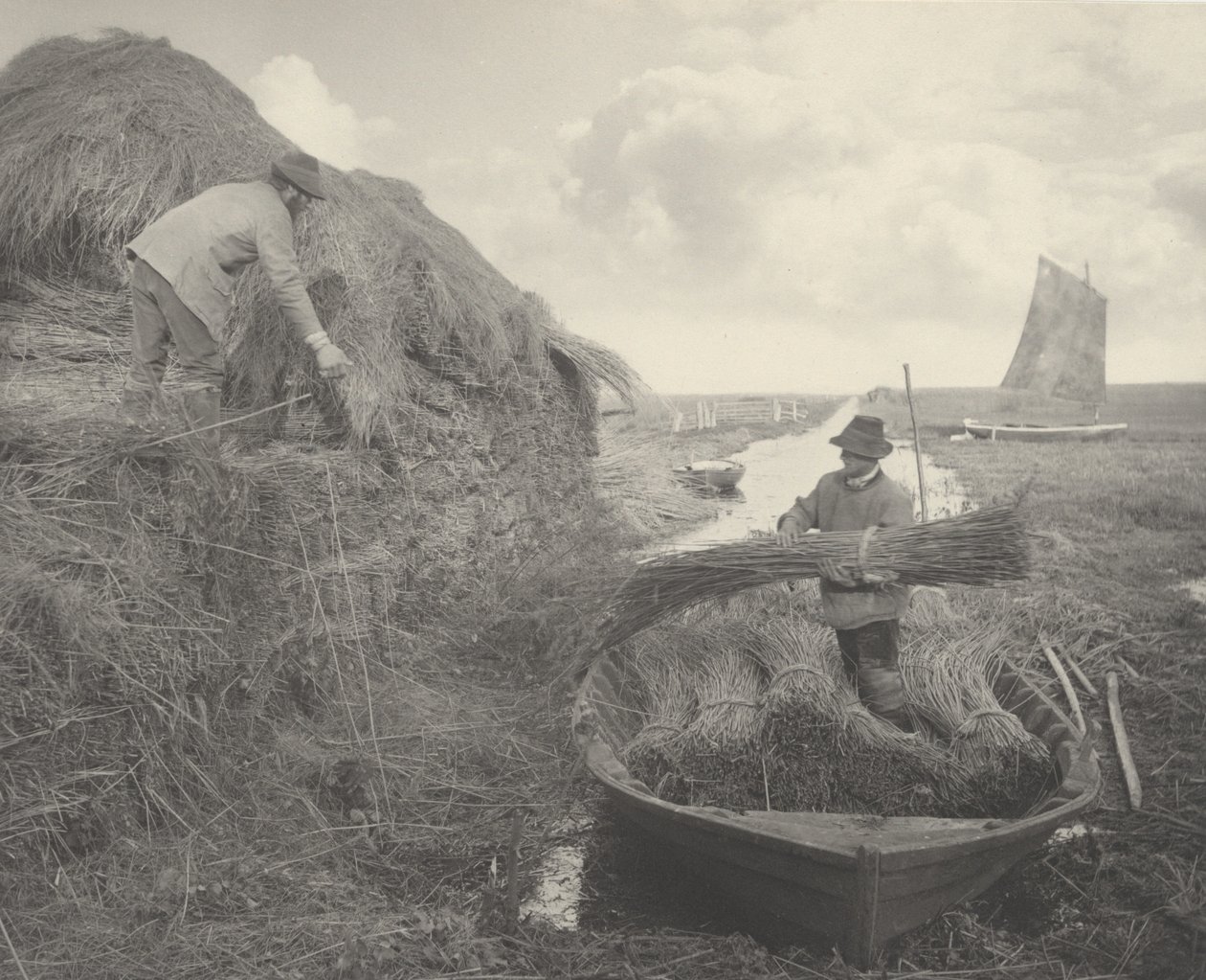 Ricking the Reed av Peter Henry Emerson and T.F. Goodall