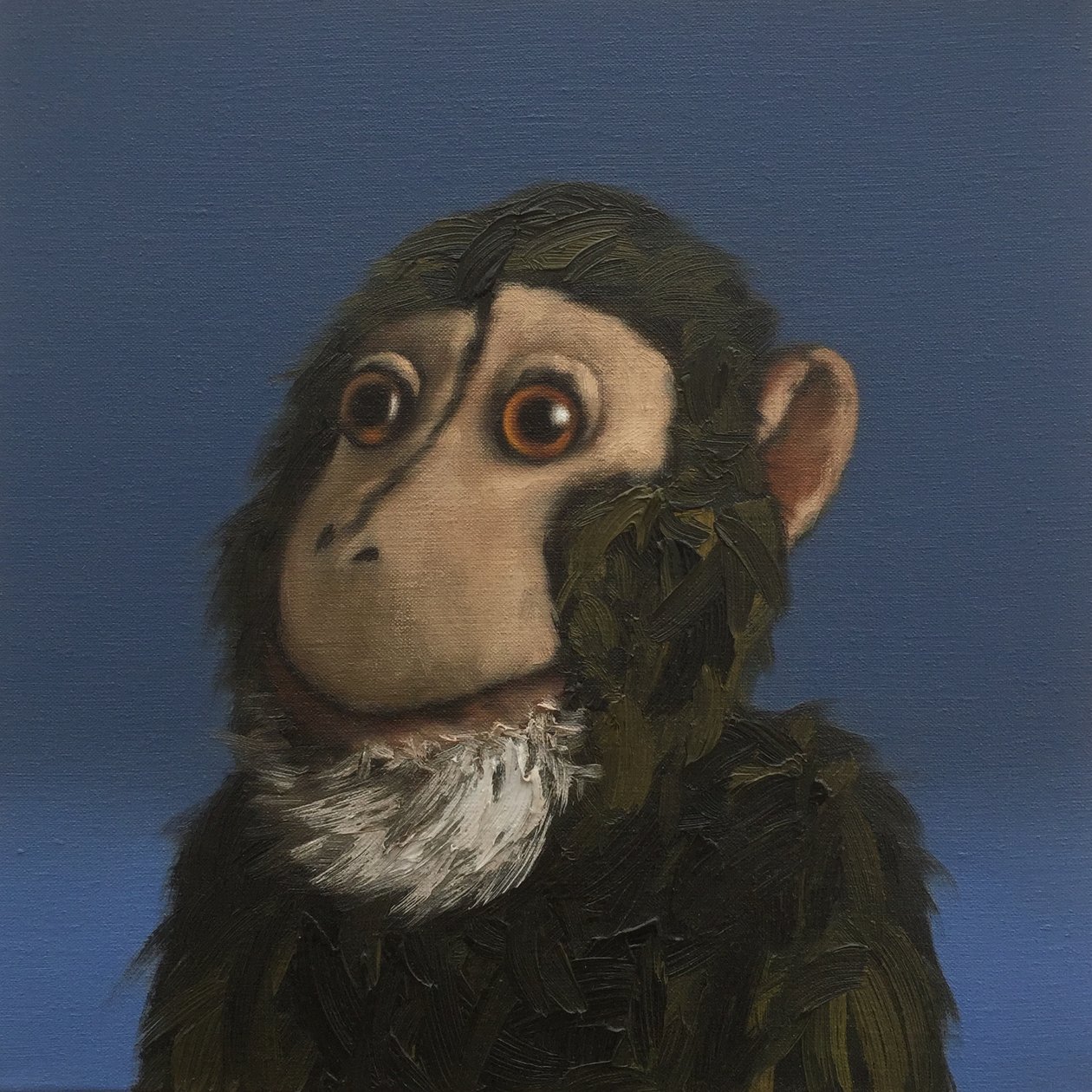 Andy Monkey, 2017 av Peter Jones