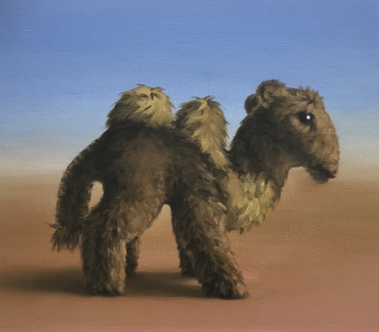 Camel, 2017 av Peter Jones