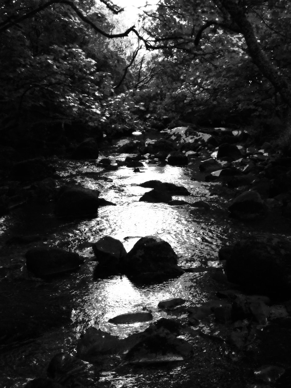 KINTYRE... PLUSS. 18 av Peter McClure