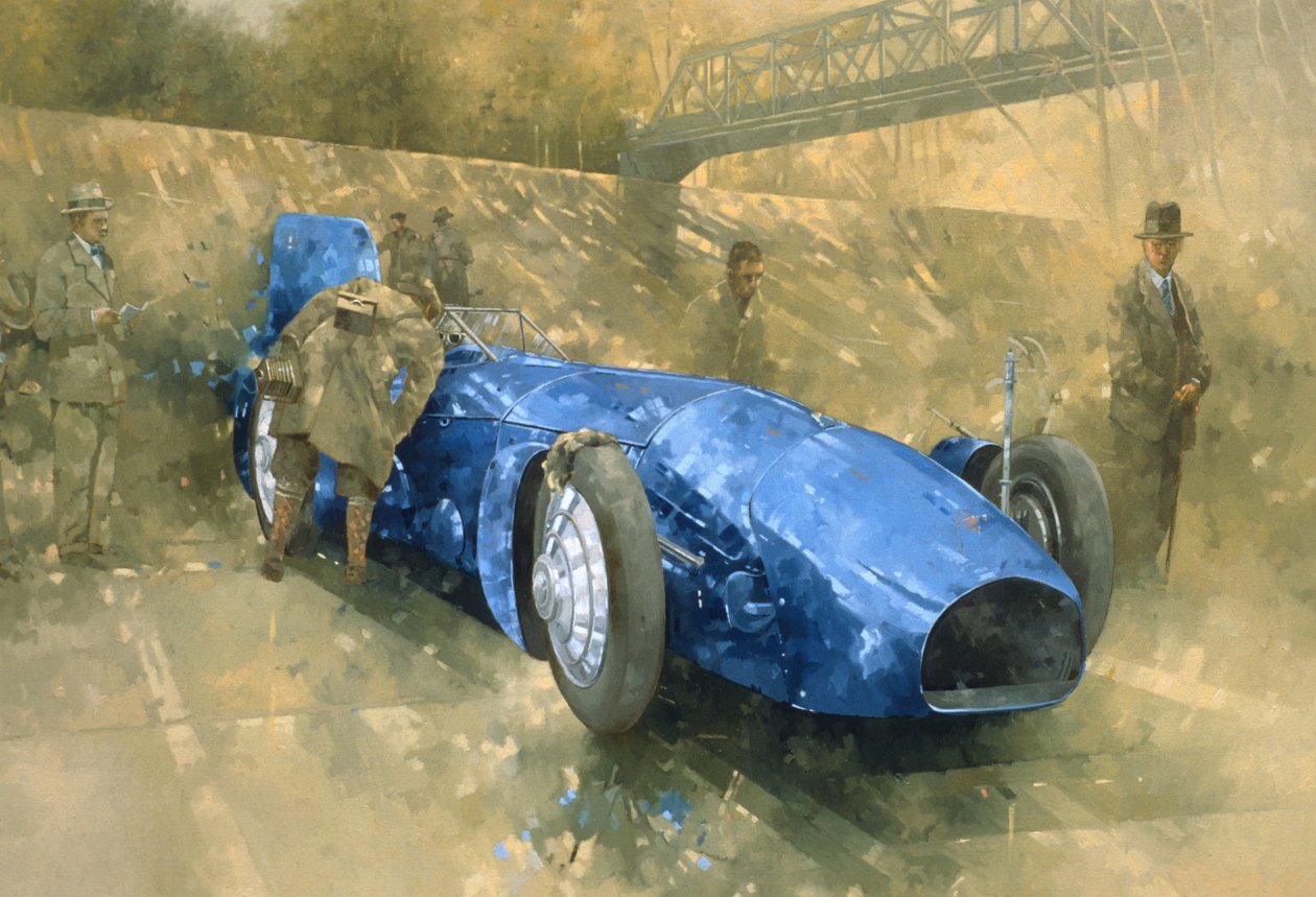 Bluebird at Brooklands (olje på lerret) av Peter Miller