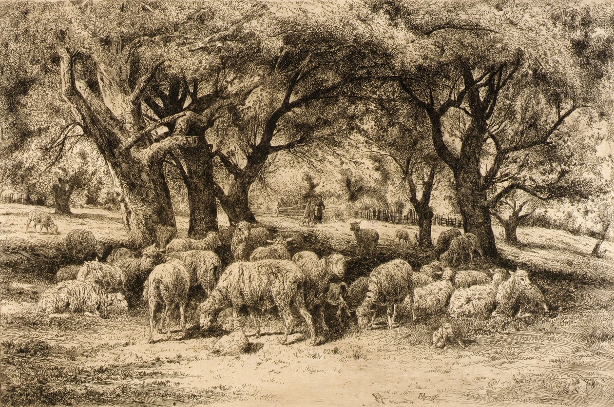  av Peter Moran