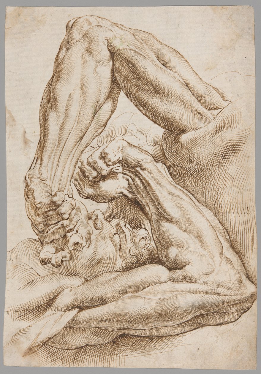 Et ark med anatomiske studier av Peter Paul Rubens