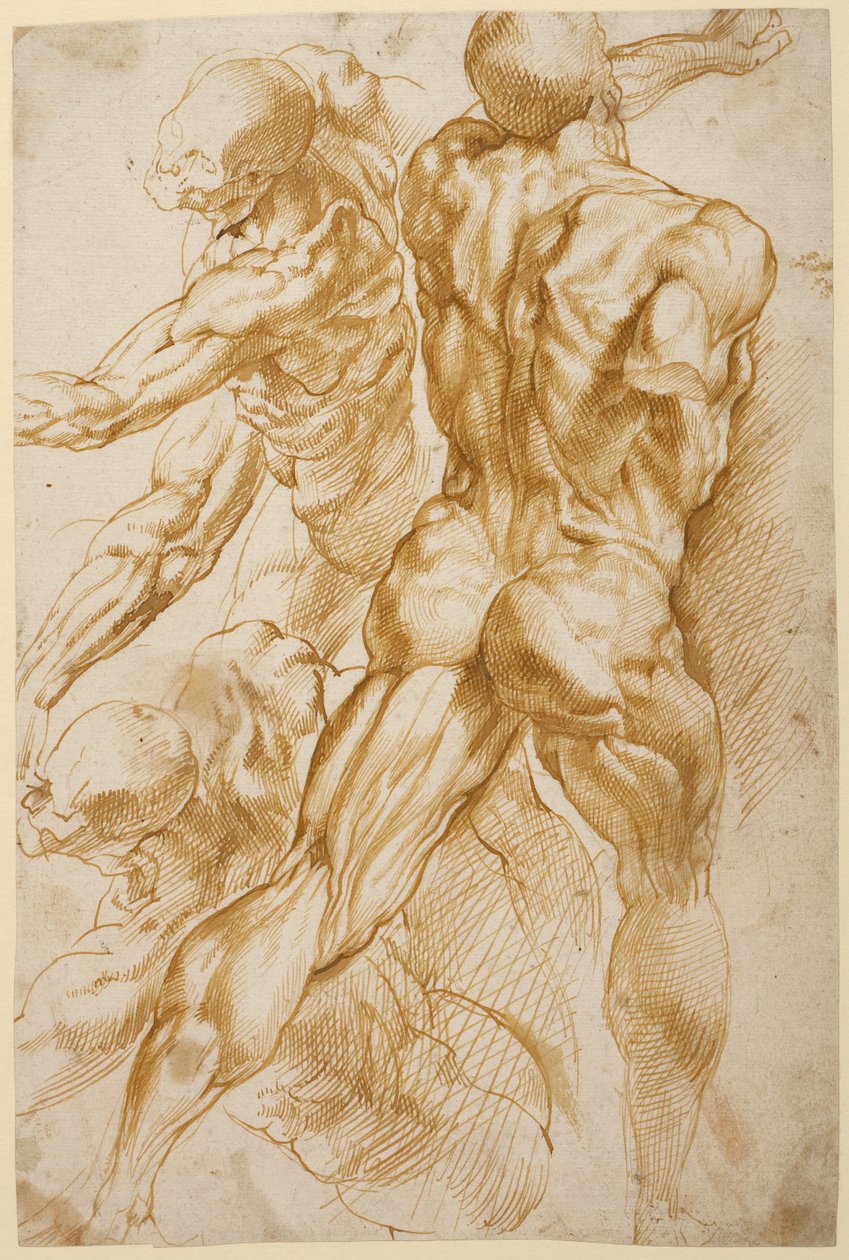  av Peter Paul Rubens