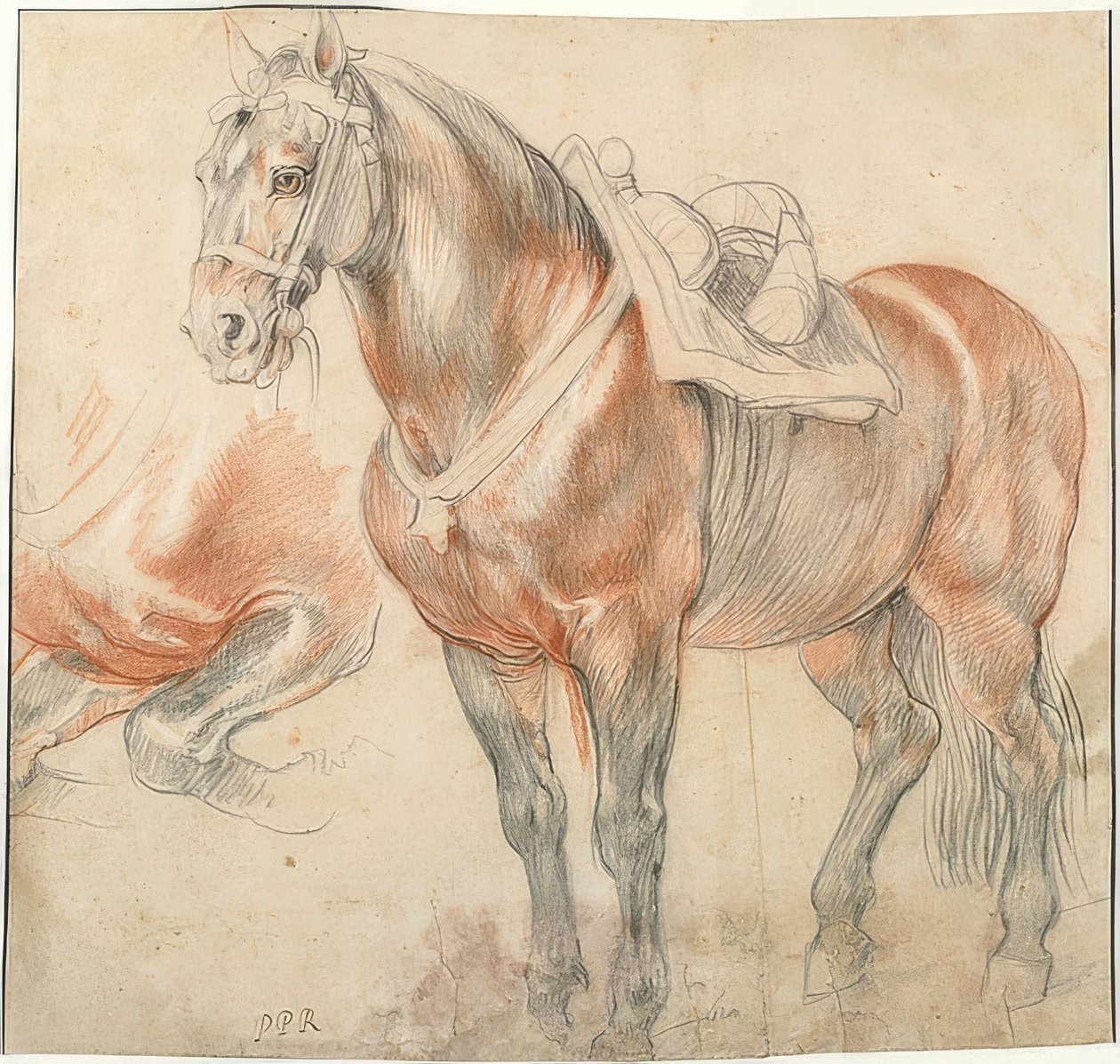 Salet hest. Rundt 1615-18 av Peter Paul Rubens