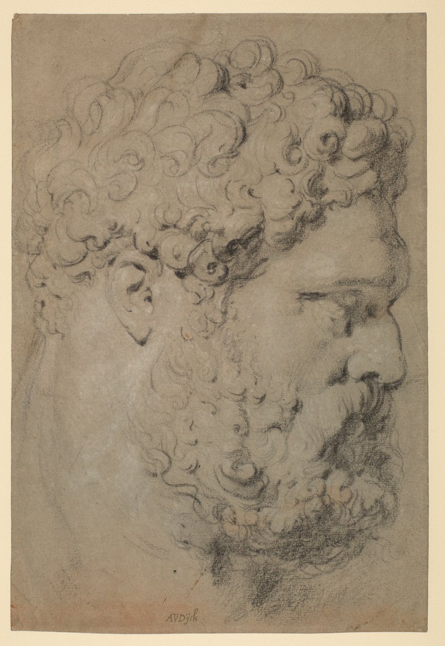Leder for Farnese Hercules av Peter Paul Rubens