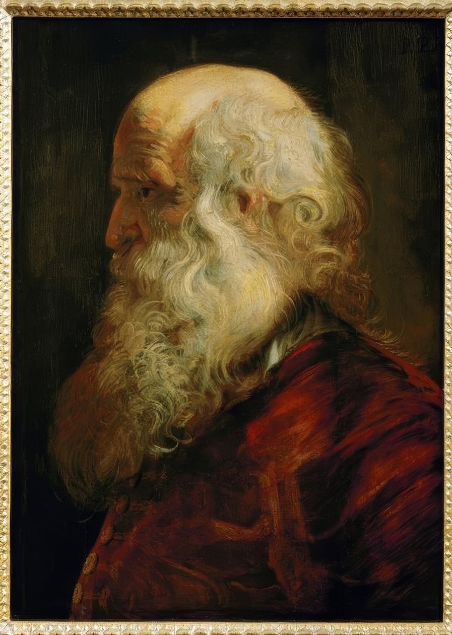 Studiehode til en gammel mann av Peter Paul Rubens