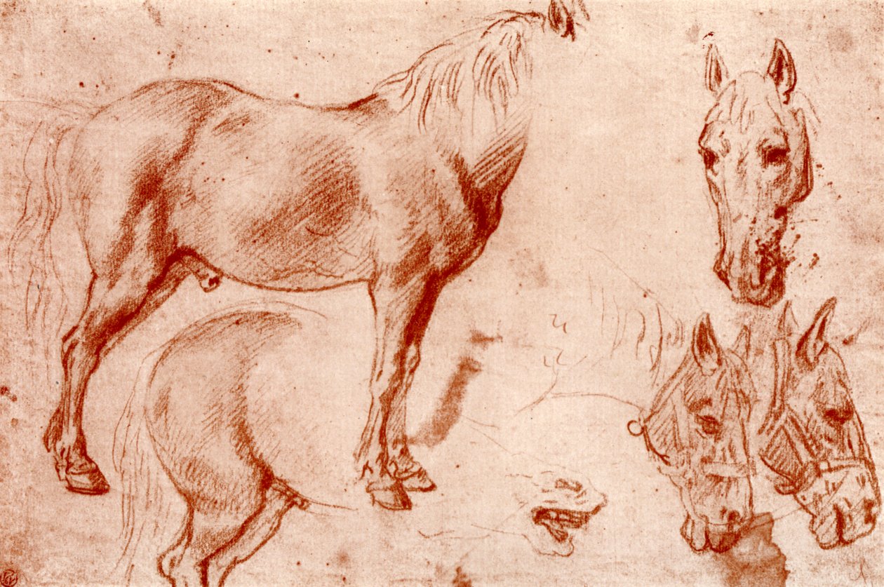 Studier av hester, 1913. av Peter Paul Rubens