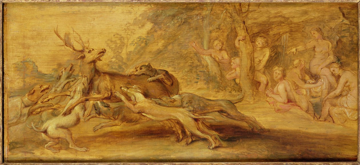 Ukjent bilde av Peter Paul Rubens
