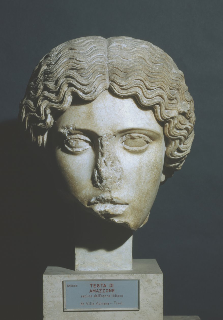 Amazons hode av Phidias Phidias