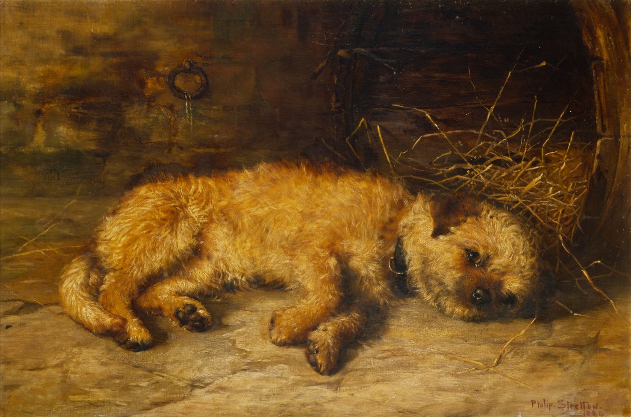 En Border Terrier-valp av Philip Eustace Stretton