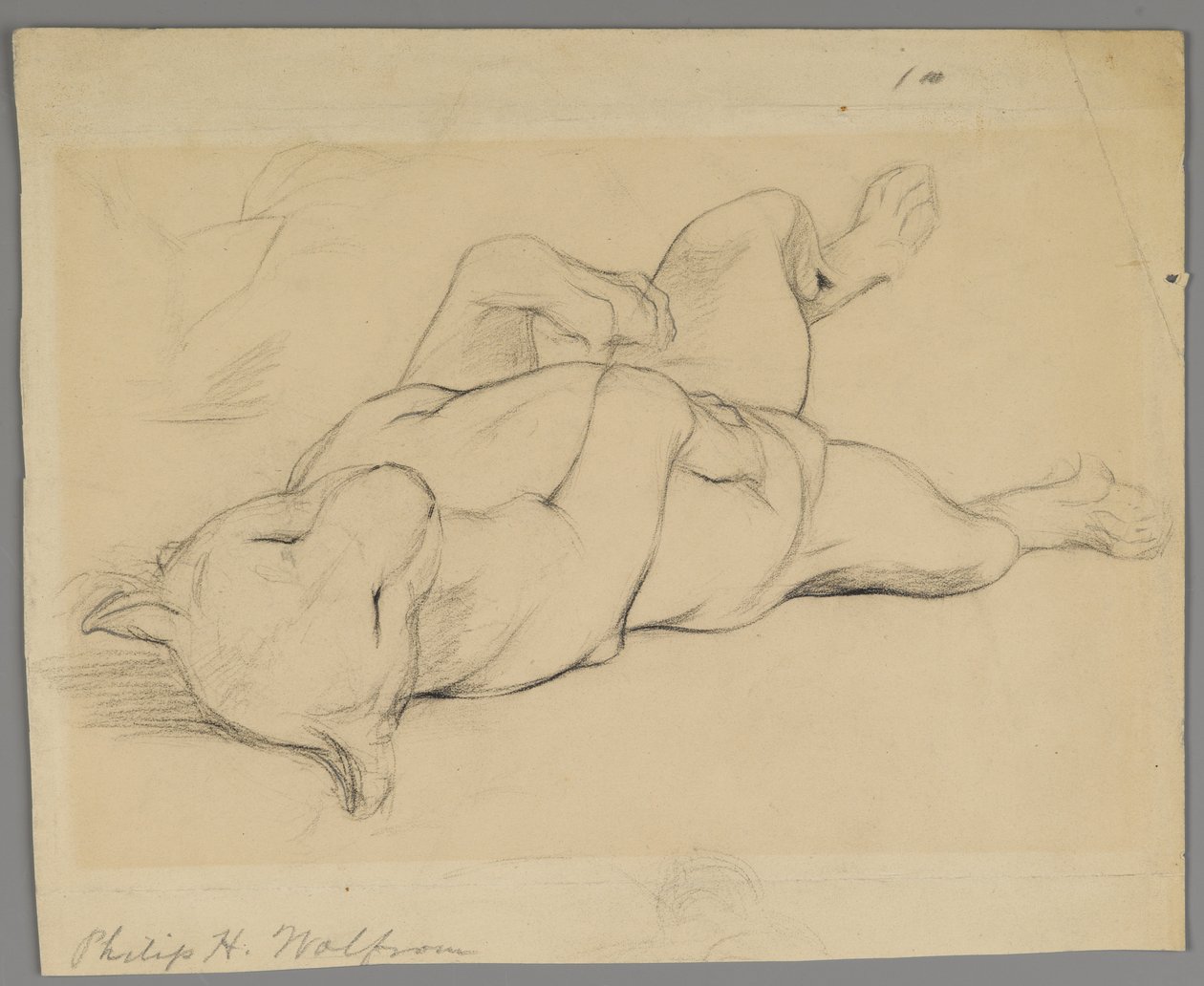 Sovende løvinne (grafitt på papir) av Philip H. Wolfrom
