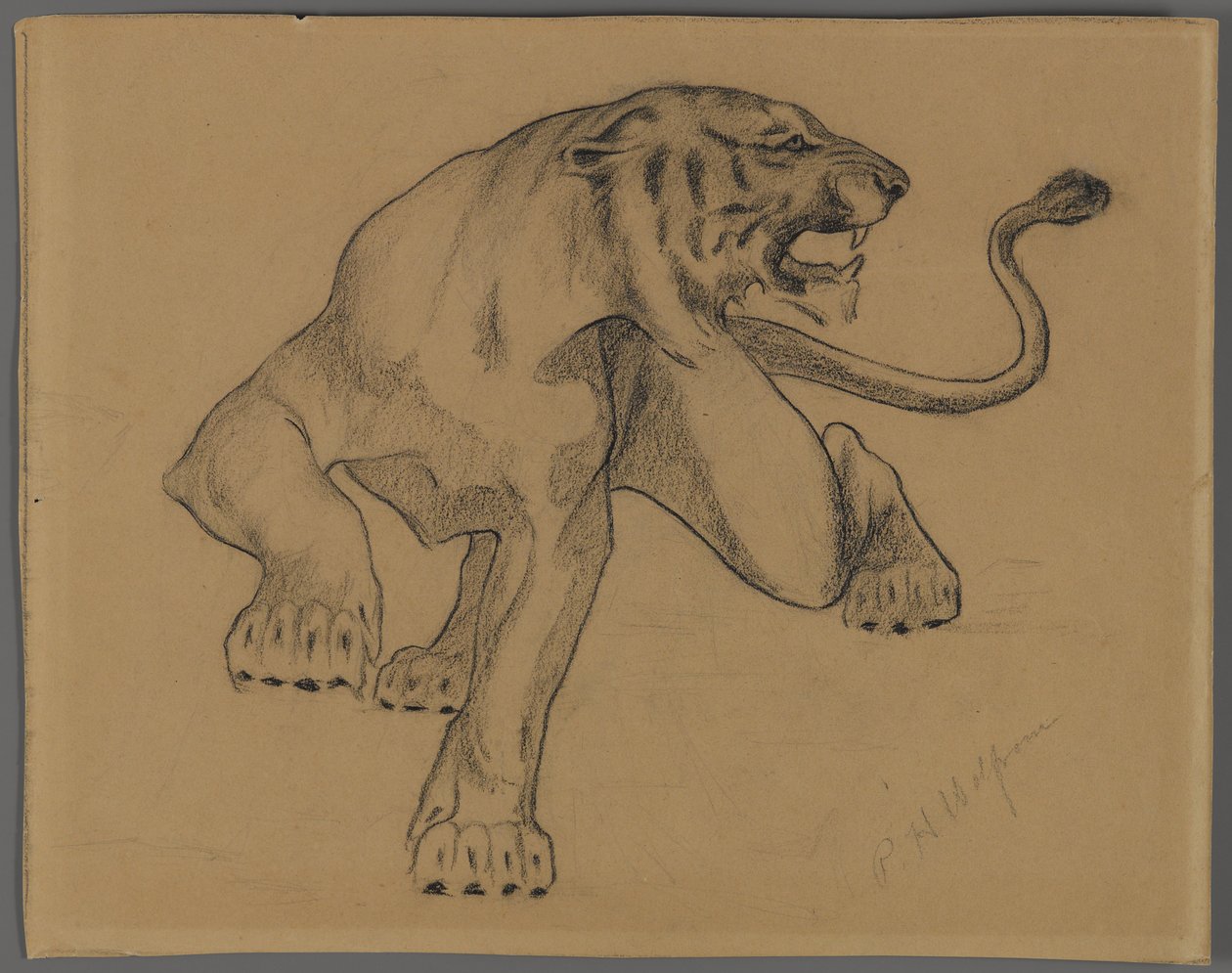 Tiger (blyant på papir historie) av Philip H. Wolfrom