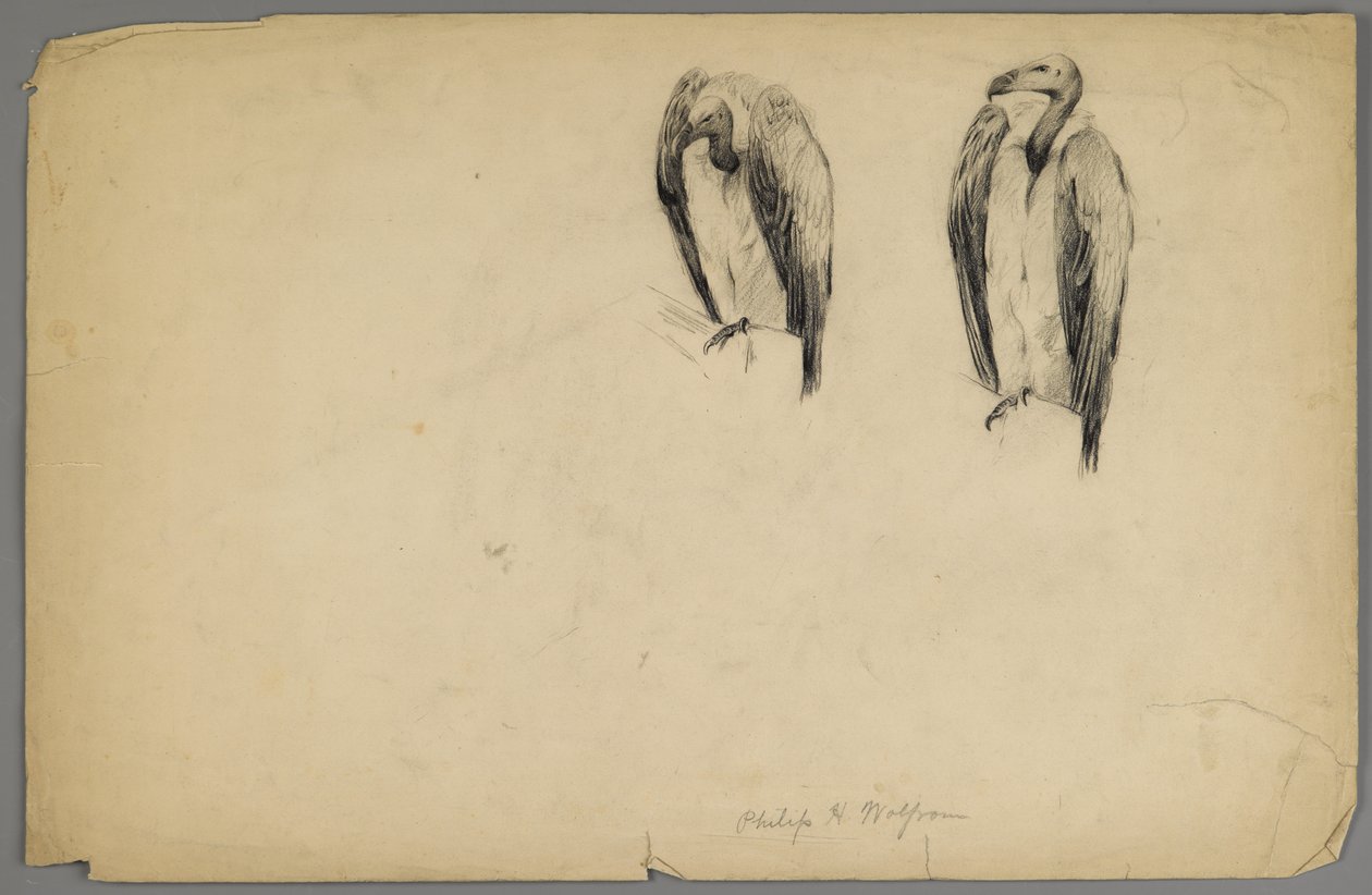 Gribber (kull på papir) av Philip H. Wolfrom