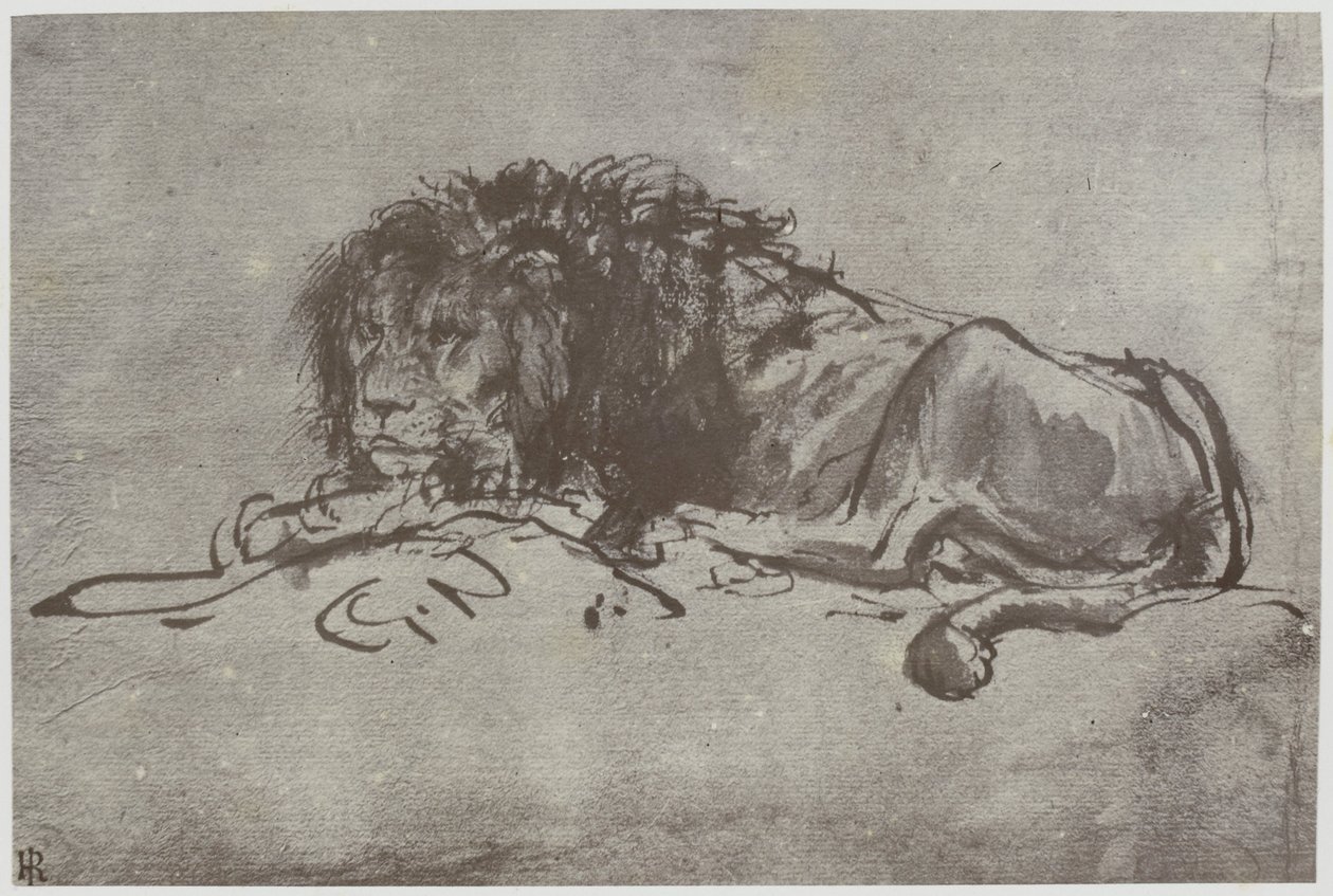 Rembrandt, en løve av Philip Henry Delamotte