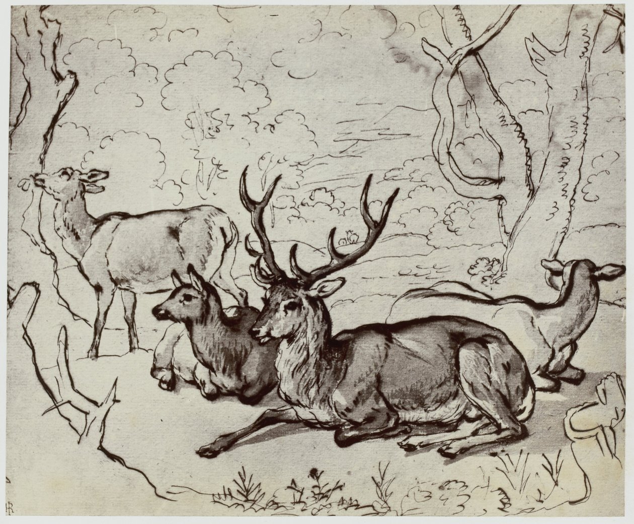 Ridinger, en hjort av Philip Henry Delamotte