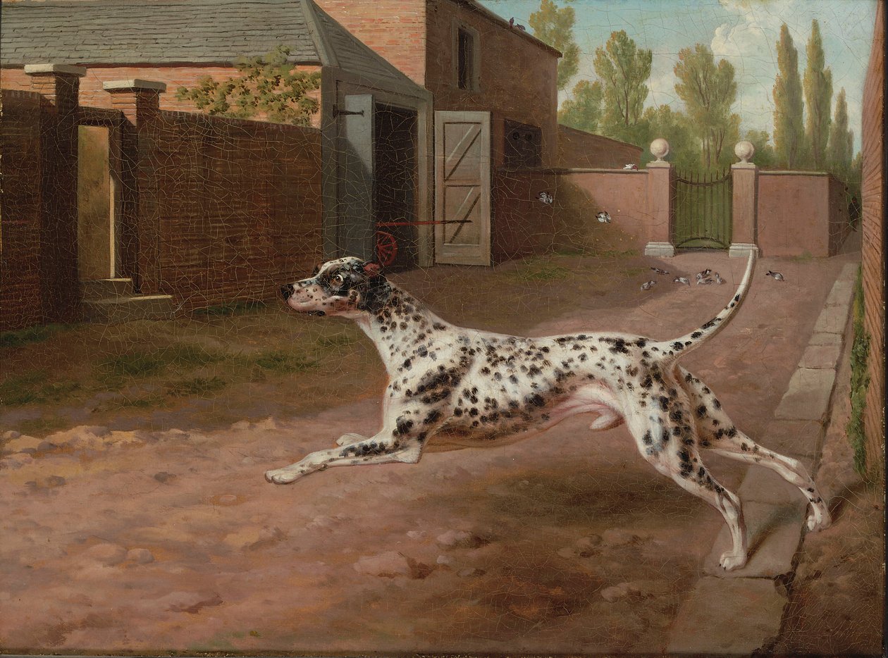En Dalmation som løper i en stallgård av Philip Reinagle